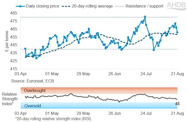 Line graph of Paris rapeseed futures Nov-26 contract prices in £/t over the past six months.